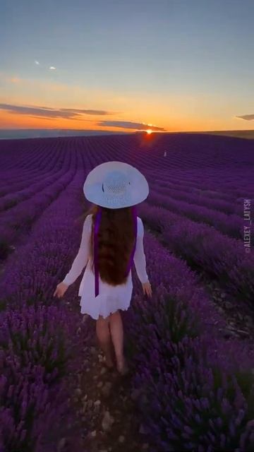 Встречаем рассвет на лавандовом поле в Крыму 💜