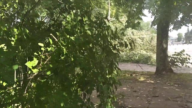 администрация и сквер над Ловатью VID 20210626 111930 смотреть онлайн