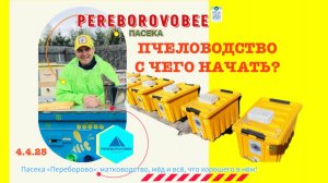 С чего начать ПЧЕЛОВОДСТВО?
#pereborovobee #пчеловодство # пасека #клей #пчеловодствонпчинающим