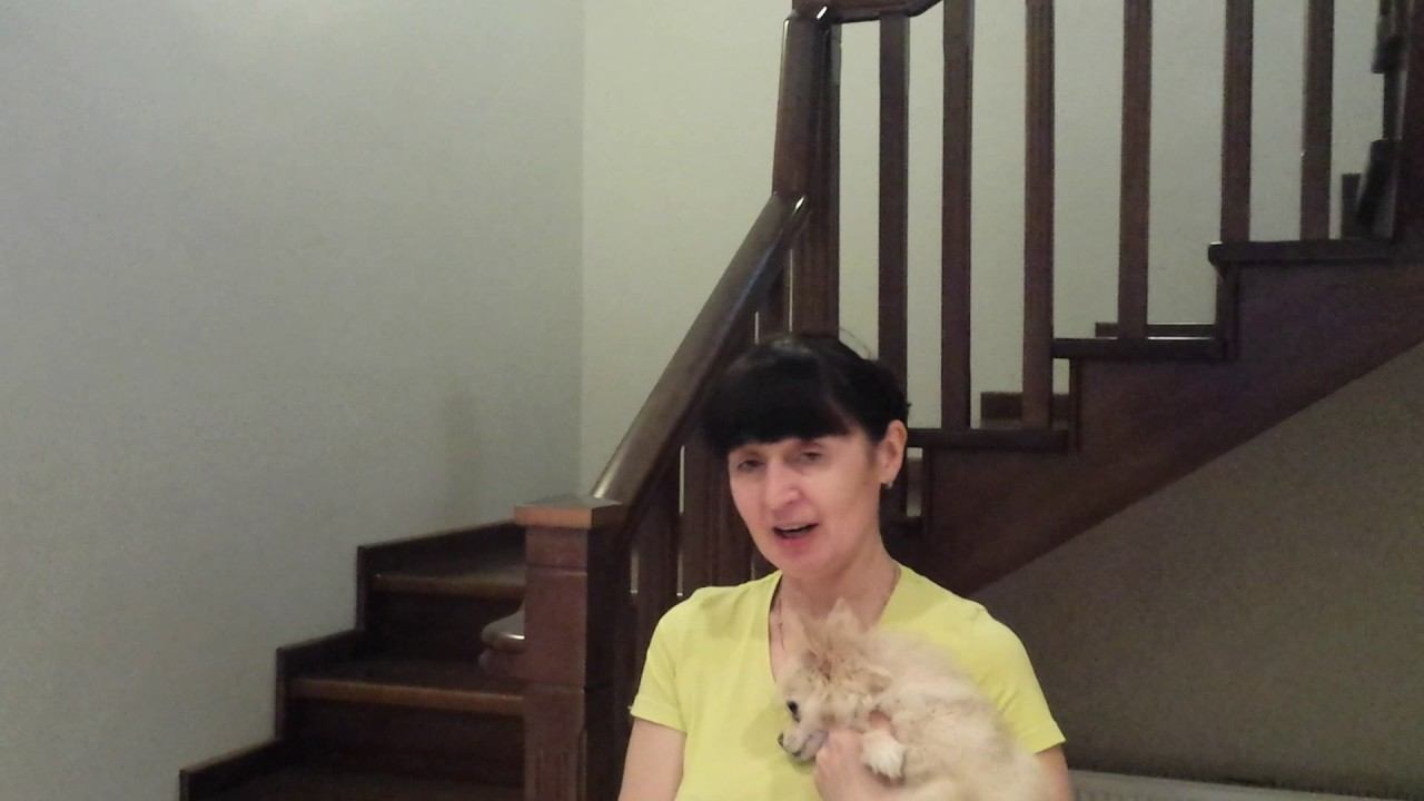 Лестница из лиственницы от Мастер-Лестниц