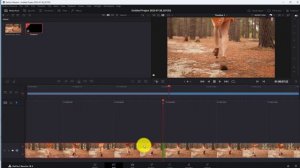 How to Reverse Clips in Davinci Resolve 18 & 18.5 ✅