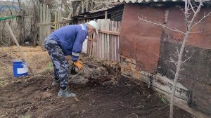 Расчищаем площадку для выгула нашим курам и уткам.