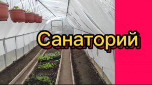 ДЕРЕВЕНСКИЙ ДНЕВНИК. "Санаторий"