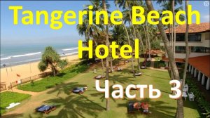 Обзор отеля TANGERINE BEACH 4* (Шри Ланка) - Часть 3. Номера и контингент