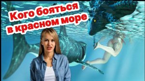 Кого стоит бояться в красном море больше, чем акул?!