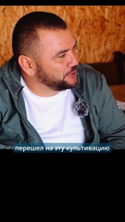 Опыты с подсолнечником.