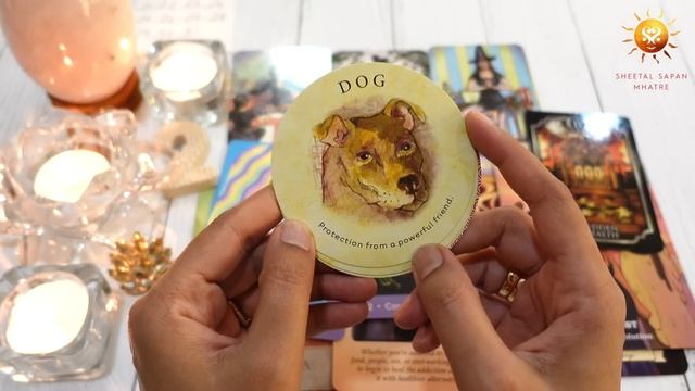 May 2024 & Birthday Month 🦋 Pick a card 🤩 detailed Monthly tarot reading & psychic predictions 🔮