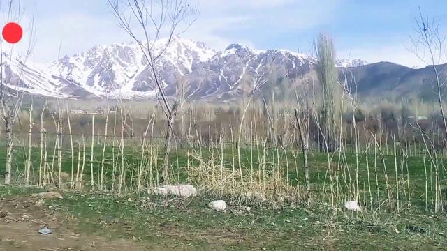 🌺🌺🌺🌺23 03 2023🌺🌺🌺фасли баҳор 🌺🌺🌺деҳаи заркамар смотреть онлайн