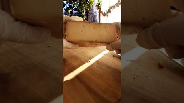 Анатомия сыра - Raclette De Savoie