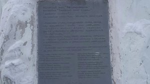 Регулировщица