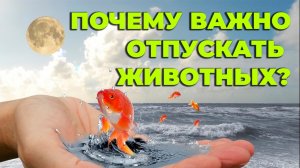 Буддийская практика спасения жизни "Цетар" | практика выкупа и дарования жизни | твори добро
