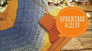 ✨Отчёт 2 в СП "Радуга -3 Процесс захватил✨