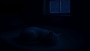 Музыка для сна - Мурлыканье Кошки 2 (1 Час) | Успокаивающие Звуки для Глубокого Сна и Релаксации