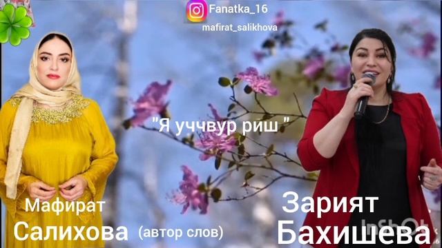 Зарият Бахишева 👍 «Я уччвур риш» 👍💖❤️💖🌹🌹🌹🔥😍 смотреть онлайн