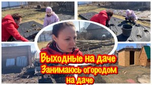ВЫСОКИЕ ГРЯДКИ СВОИМИ РУКАМИ/НЕ МОГУ У ОСТАНОВИТЬСЯ/ПРИВОЖУ В ПОРЯДОК СВОЙ ОГОРОД/МОЙ ОГОРОД