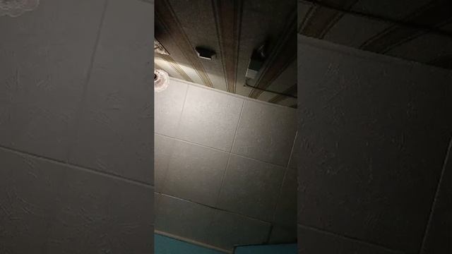 массаж перед сексом 18+
Эротика