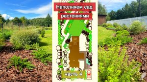 Как я сделала композицию вдоль забора, изучив 2 фотографии дизайнерских садов. Входная зона