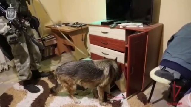 ⚡🇷🇺 В ЛНР бойцы ФСБ и Росгвардии зашли в гости к ждуну украины. Сработали как надо⚡🤙 смотреть онлайн