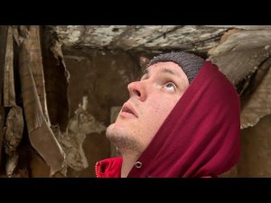 Долгожданный забор для груш, обзор нашей обороны  от ушастых ублюдков.