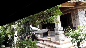 Убуд Кафе Ибу Ока Попугай   Да, я знаю как сходят с ума!