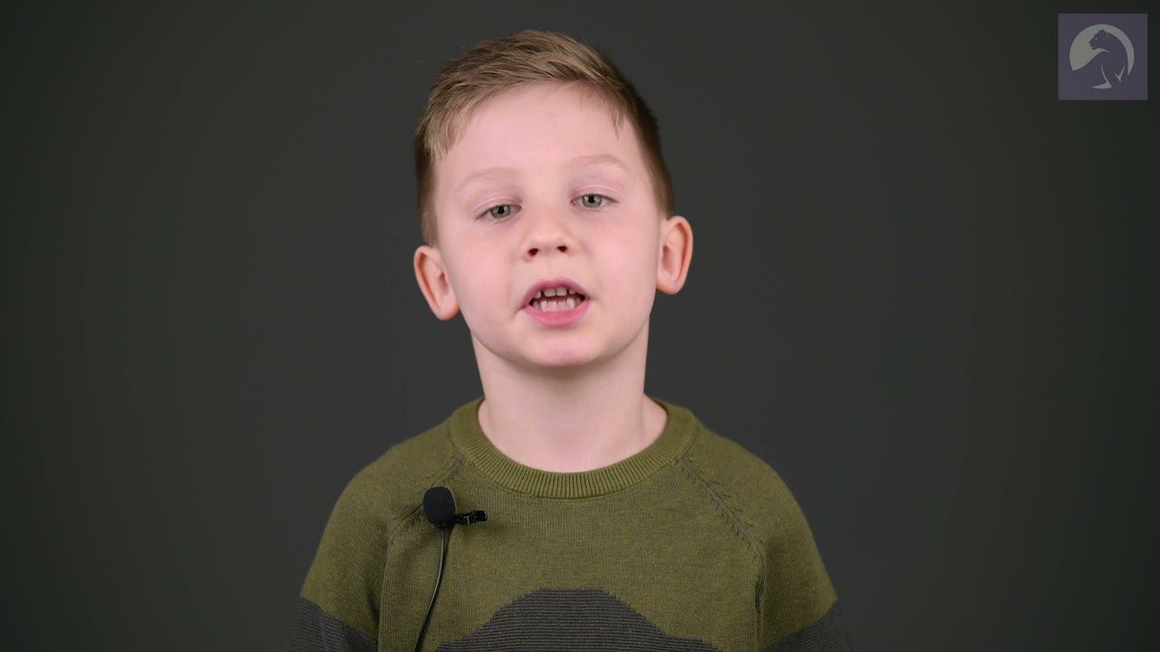 Верховский Тимофей, 6 лет