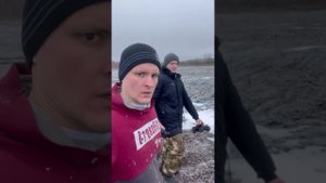 Спасаемся от мышей в зимнем саду. Действие бактерицида. Неудачный опыт использования :(