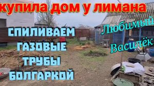 Купила дом у моря. Восстанавливаю усадьбу. Спиливаем газовые трубы. Ремонт в Ейске. Любимый Василек.