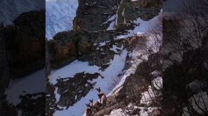 Северная Осетия