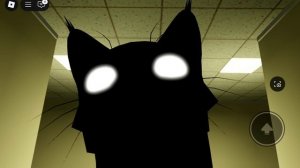 Я покажу вам как найти кота ГЛИТЧА И АКУЛУ КОТА В ИГРЕ РОБЛОКС ИГРА С КОТЯТАМИ