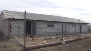 Вай боахам 04,04,25 автор Холохоева Пятимат