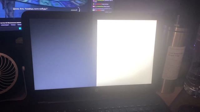 video305898887_456239382-720