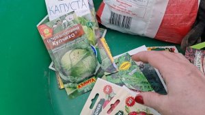 сею капусту, шпинат,редиску...