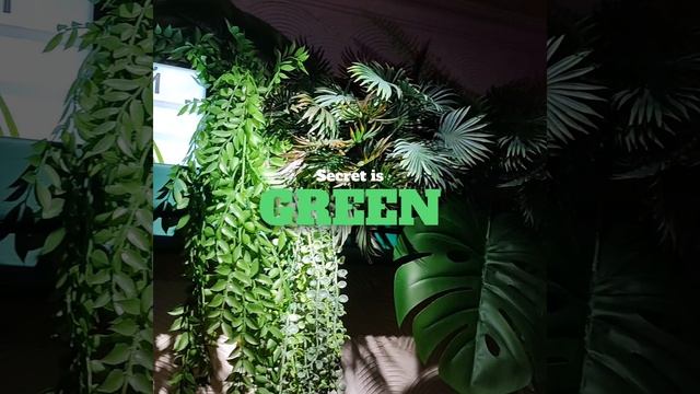 Возможности Секрета