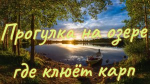 Прогулка на озере где клюёт карп
