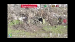 СВО: Вывели из строя орудие хохлов
