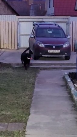 Вечер пятницы