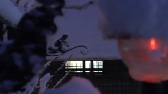 Сказочная зимняя ночь