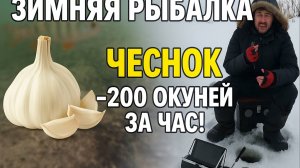 чеснок - 200 окуней за час.  ЗИМНЯЯ РЫБАЛКА НА ЛЬДУ И ПОДО ЛЬДОМ
