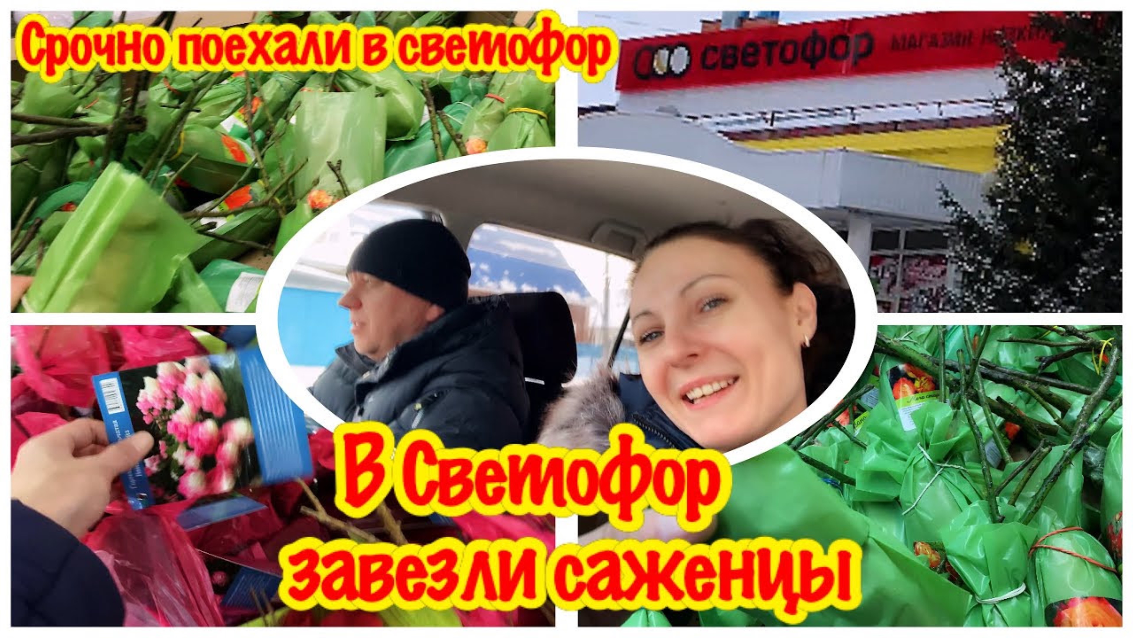 НОВЫЙ ПРИВОЗ В МАГАЗИН СВЕТОФОР САД ОГОРОД/ПОЕХАЛИ В СВЕТОФОР/БОЛЬШОЙ ВЫБОР САЖЕНЦЕВ В СВЕТОФОРЕ/