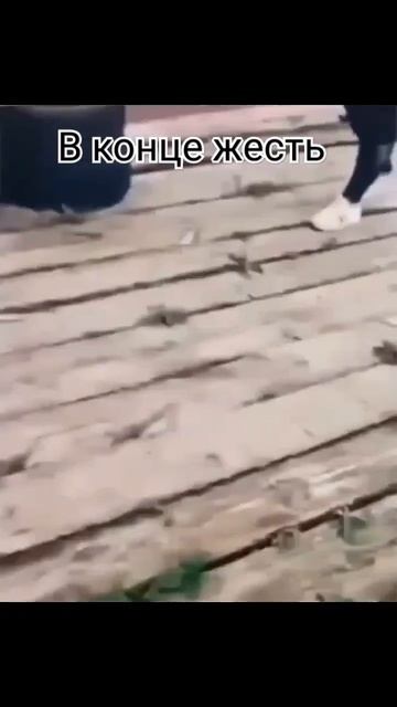 летучая мышь по имени Олежка 😂🤣 смотреть онлайн