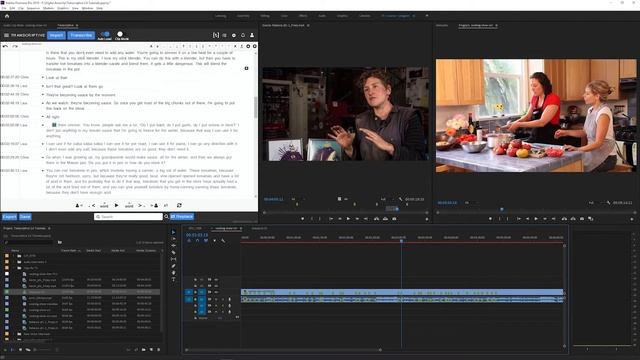 Digital Anarchy: Transkription und Powersearch