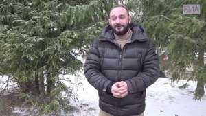 Городские истории. Парки