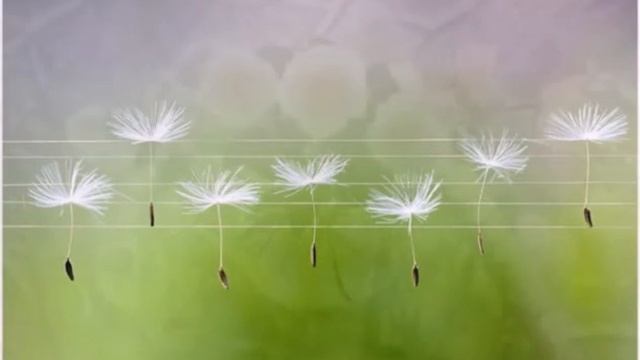 СЕРГЕЙ ЗАМАЗАН ресторан Контакт 1994 смотреть онлайн