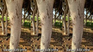 Samsung Galaxy S25 Ultra vs Galaxy S24 Ultra vs Galaxy S23 Ultra - сравнение камер в реальной жизни