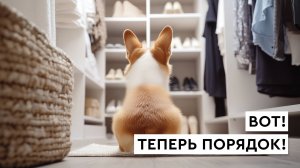 Эпизод 12. Носки