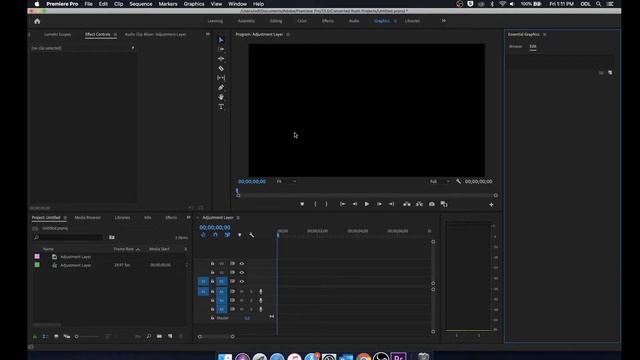 How to Use the Essential Graphics Panel in Adobe Premiere Pro - Create Custom Titles and Templates смотреть онлайн
