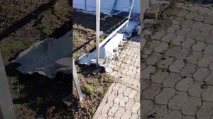 Открыл и снова закрыл, идут минуса.