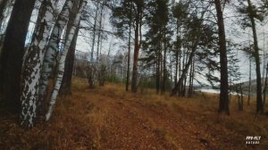 Тихое озеро и осенний лес