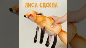 блоп топ