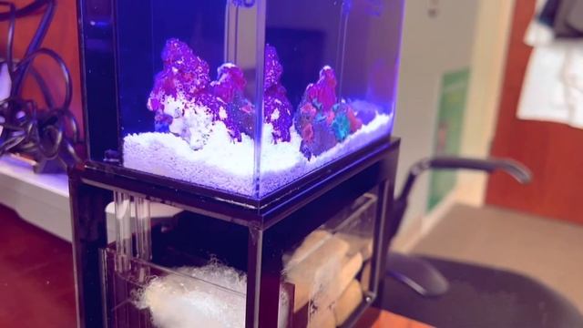 Wisconsin Micro Reef смотреть онлайн